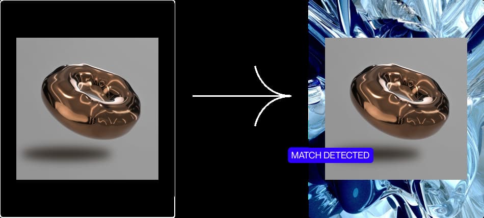 A visual representation of one of the Autentica Technology methods that identifies duplicates.